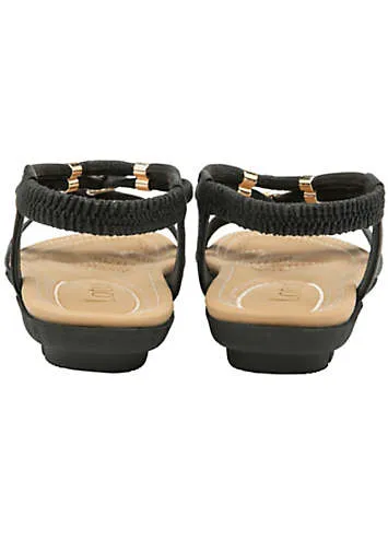 Black Bettina Sandals by Lotus | Look Again