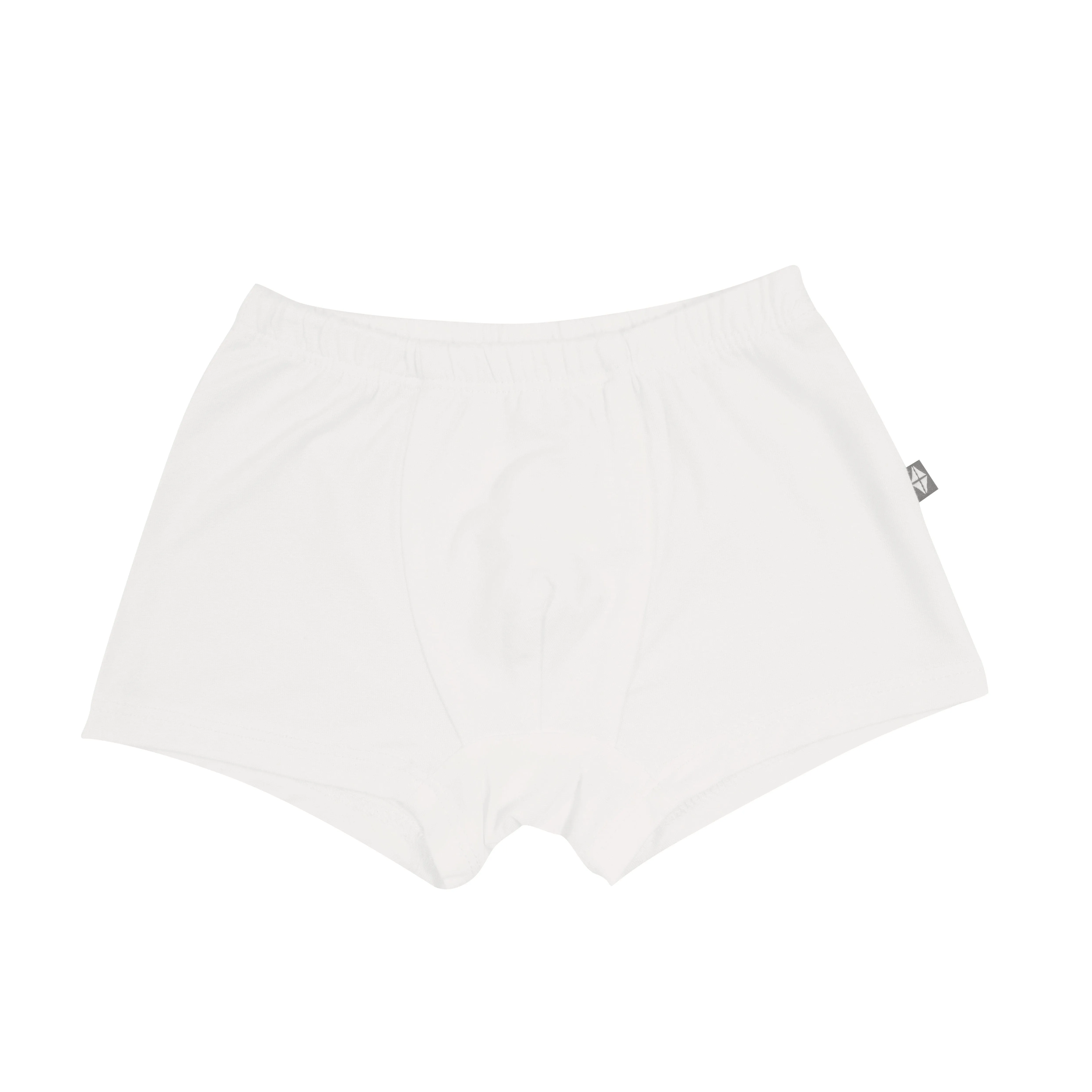 Briefs in Cloud