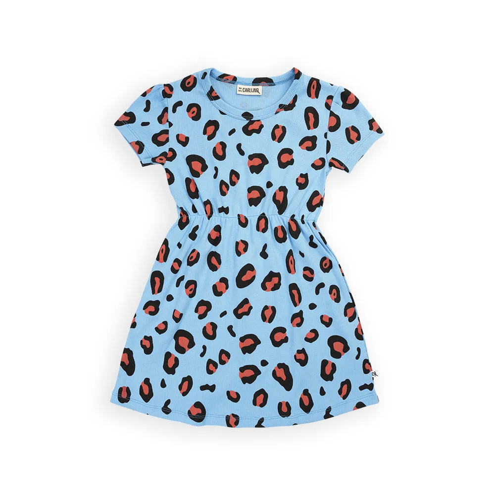 LPD227-Leopard